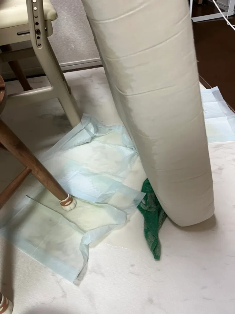 びしょびしょになったソファクッションの下へペットシートを敷いて水を受けている様子