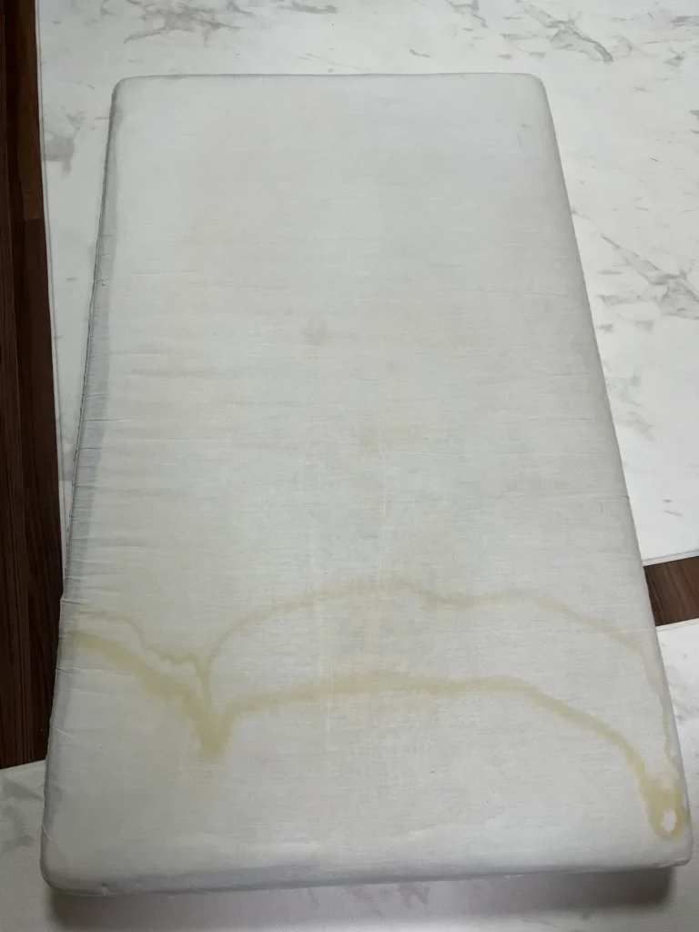 リンサークリーナーで掃除して乾かしたあとも尿のシミが残ったソファクッション